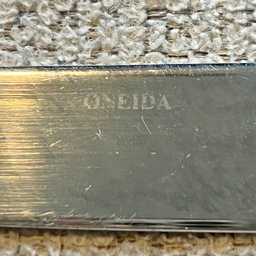 Oneida Astragal 18/10 Stainless Steel Dinner Knives Set of 4 Serrated Blade